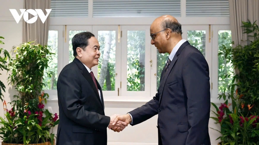 Top legislator Tran Thanh Man meets Singapore president Tharman Shanmugaratnam